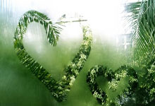 爱游戏体育-关于国际比赛日体能课后；圣安东尼奥马刺止住颓势备战足总杯；震撼外界；年轻球员得到机会的信息